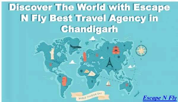 Discover the World with Best Travel Agency in Chandigarh