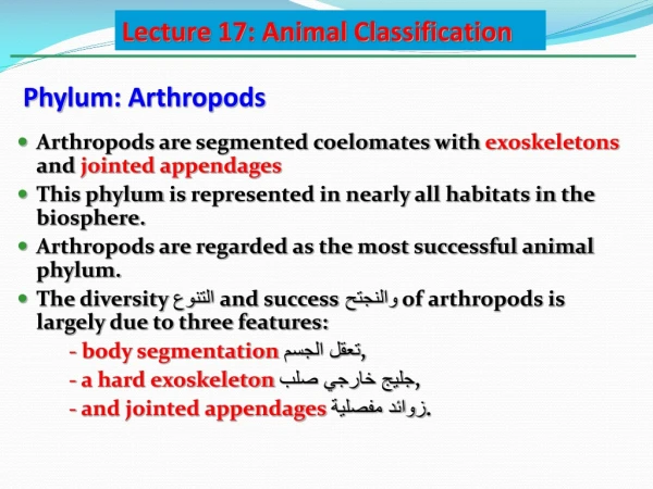 Phy lum: Arthropods