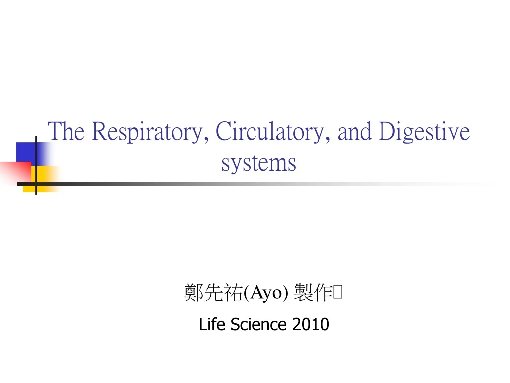 the respiratory circulatory and digestive systems