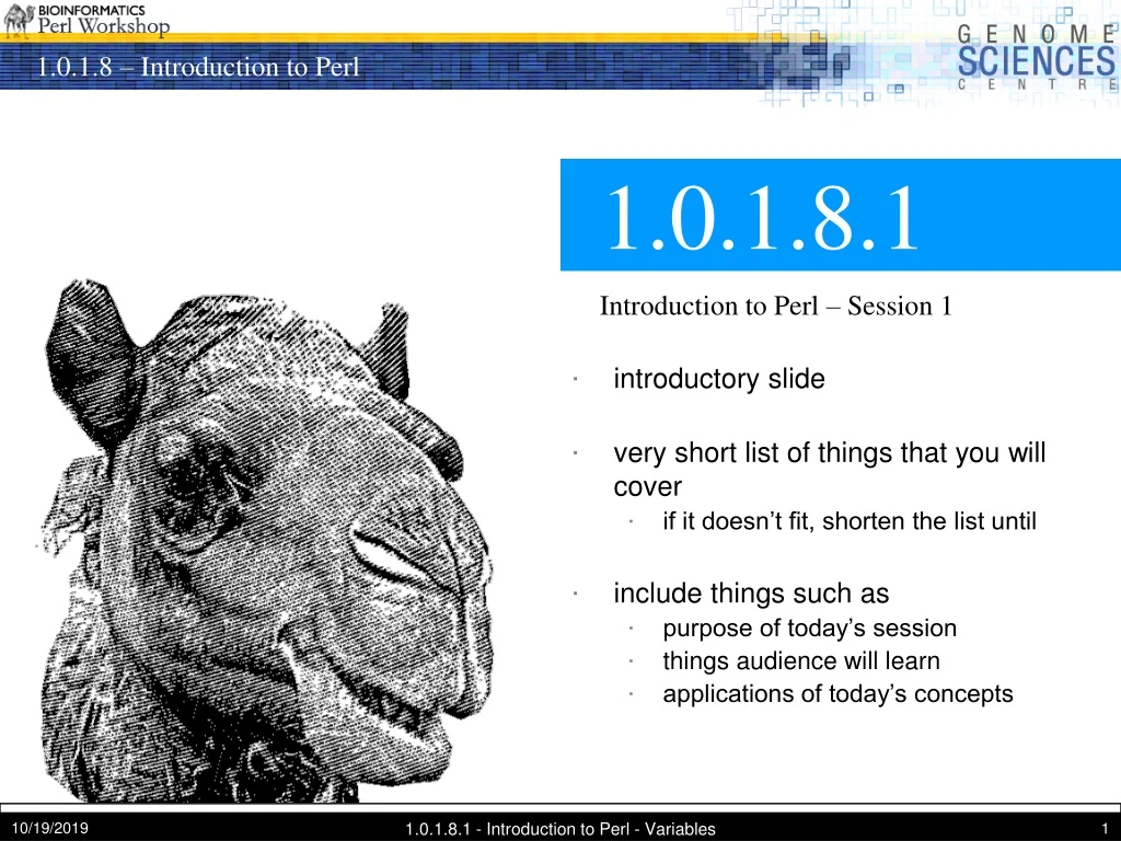 1 0 1 8 1 introduction to perl session 1