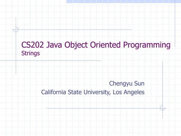 CS202 Java Object Oriented Programming Strings