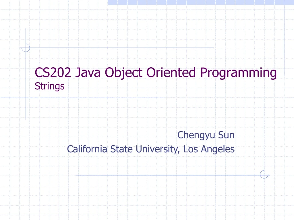 cs202 java object oriented programming strings