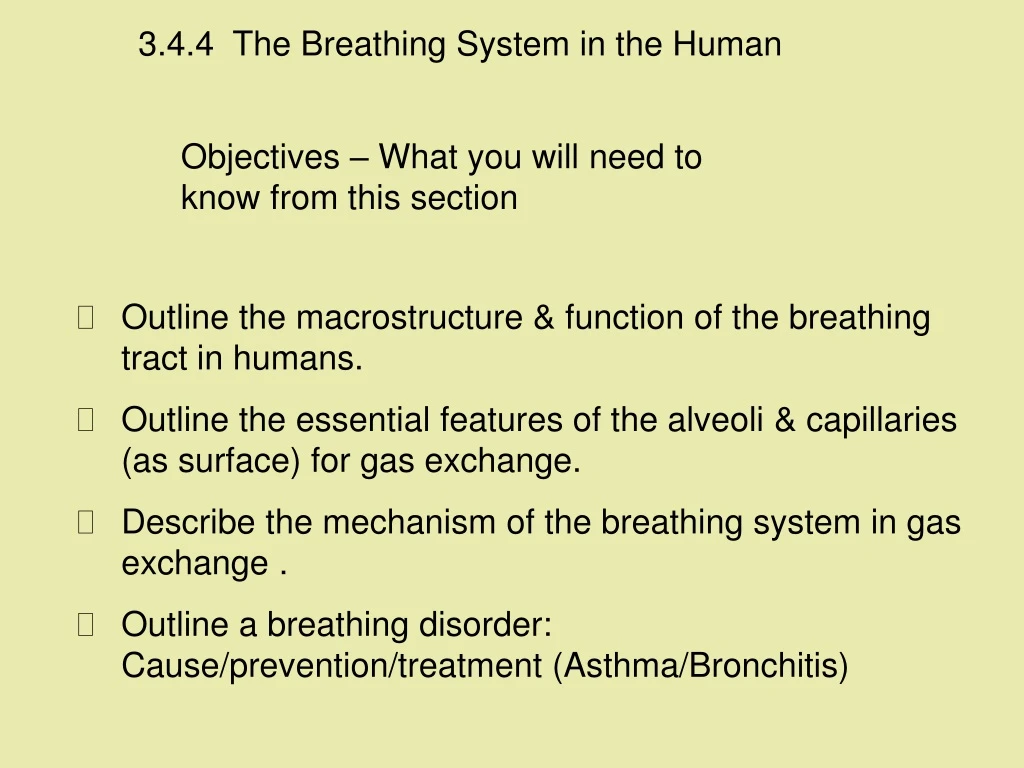 3 4 4 the breathing system in the human