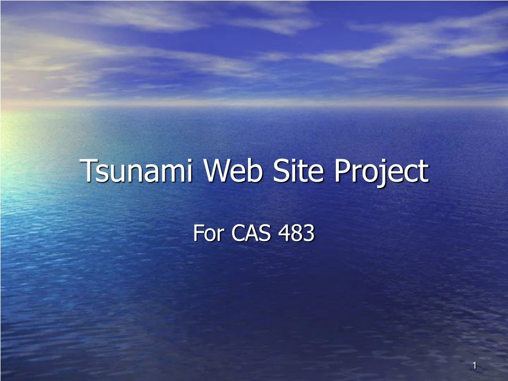 tsunami web site project