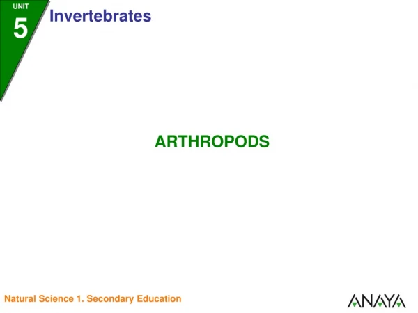 ARTHROPODS