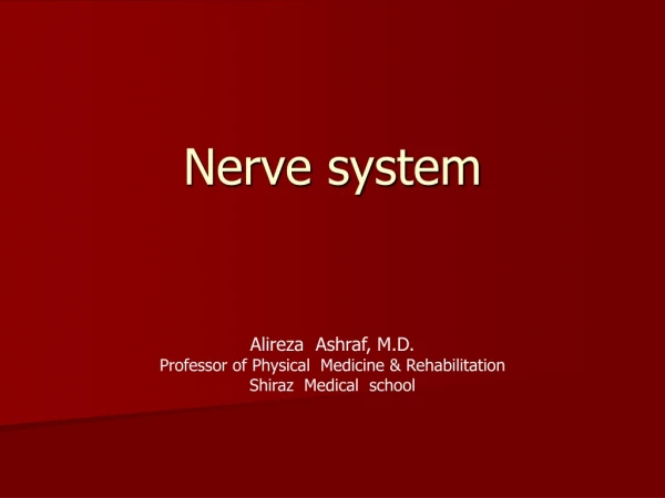 Nerve system