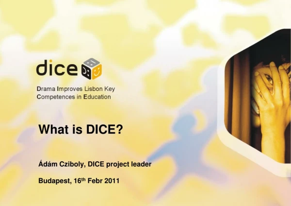 What is DICE ? Ádám Cziboly, DICE project leader Budapest , 16 th Febr 201 1