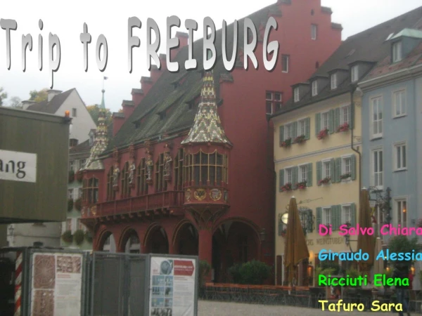 Trip to FREIBURG