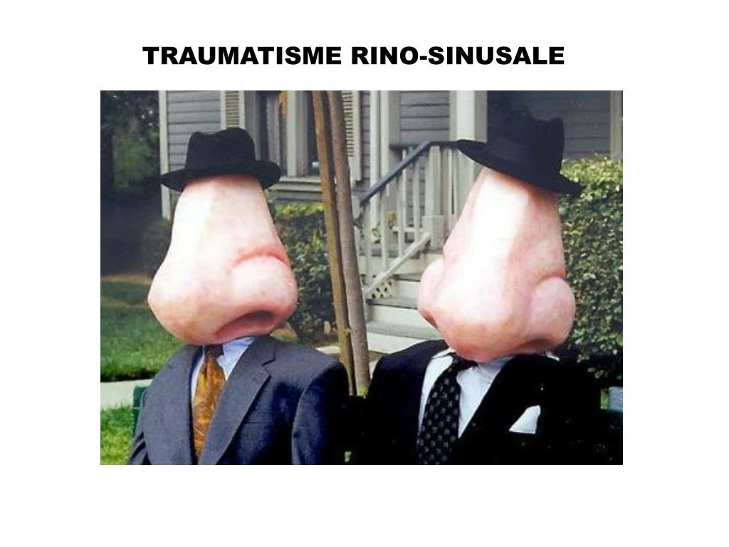 traumatisme rino sinusale