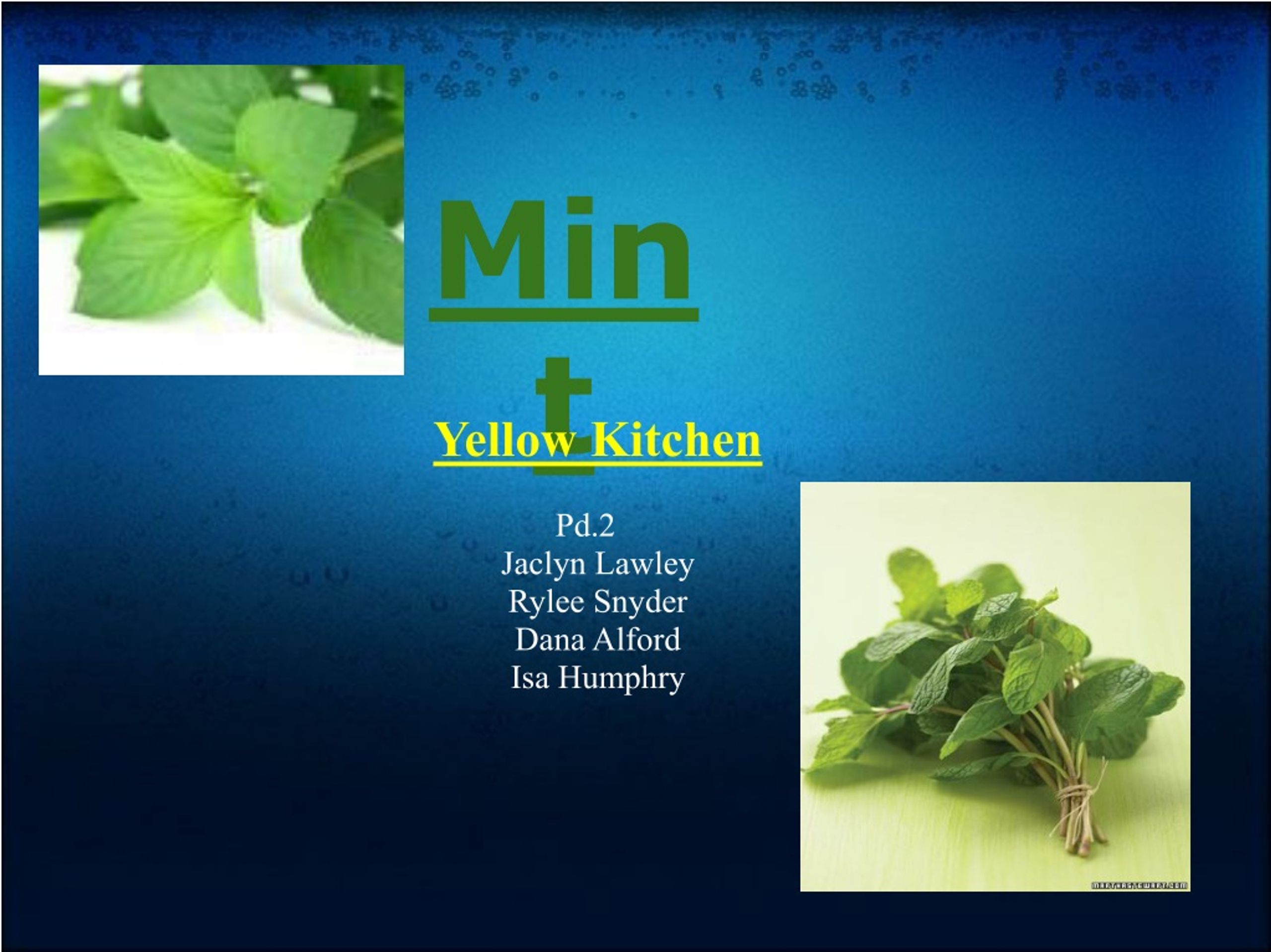 Mint: A Versatile Herb with Culinary and Medicinal Benefits - slide 1