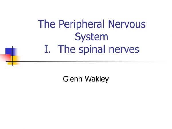 The Peripheral Nervous System I. The spinal nerves