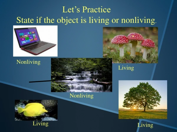 Let’s Practice State if the object is living or nonliving .