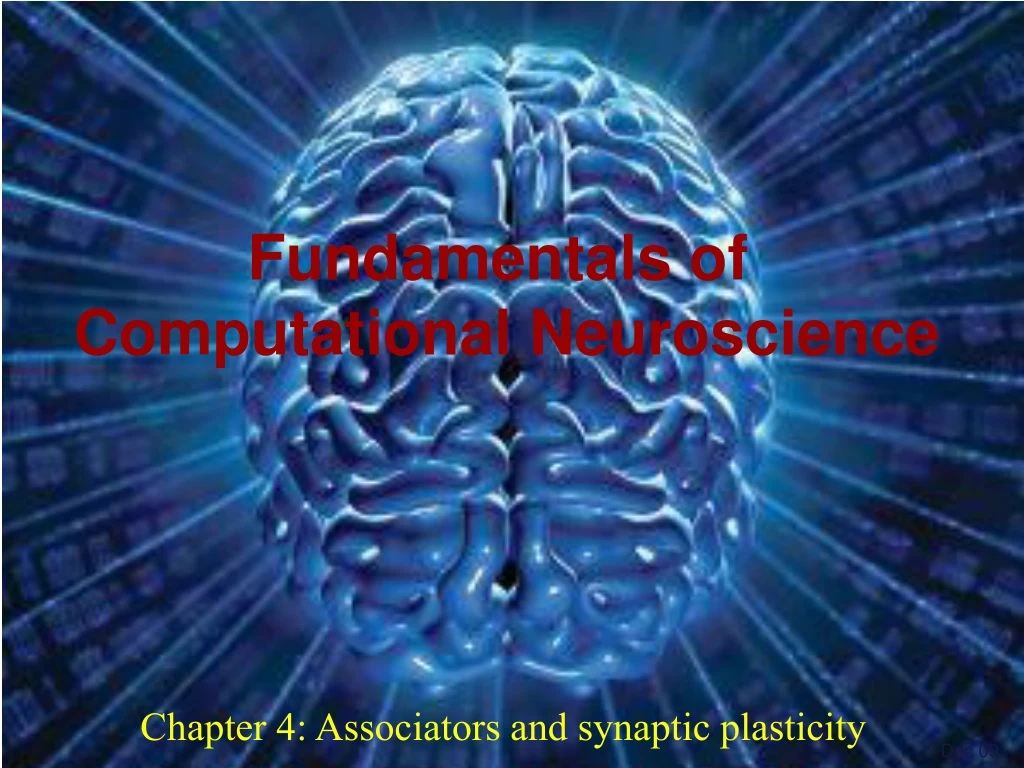 chapter 4 associators and synaptic plasticity