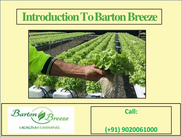 Introduction To Barton Breeze