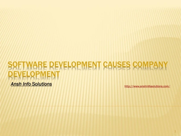 Software Development Causes Company Development