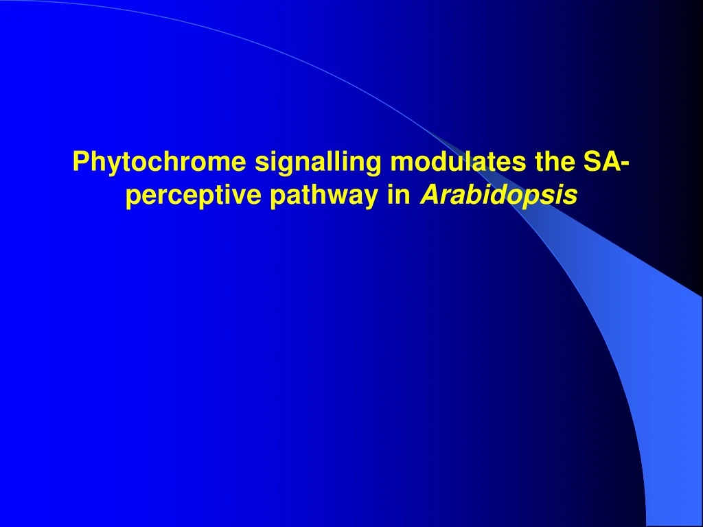 phytochrome signalling modulates