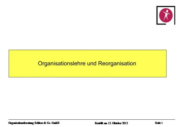 Organisationslehre und Reorganisation