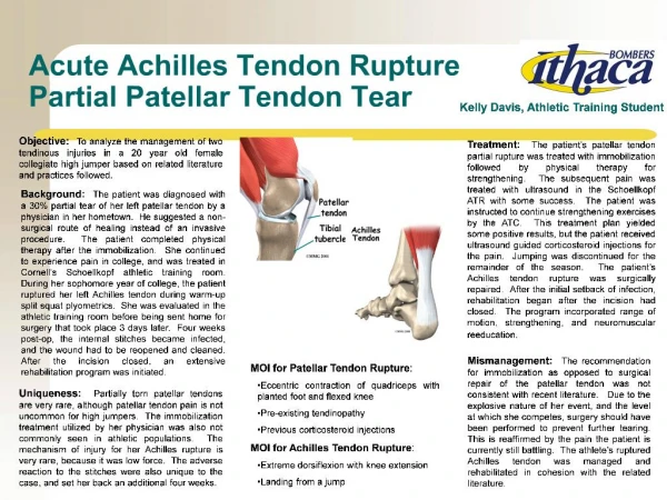 Acute Achilles Tendon Rupture Partial Patellar Tendon Tear