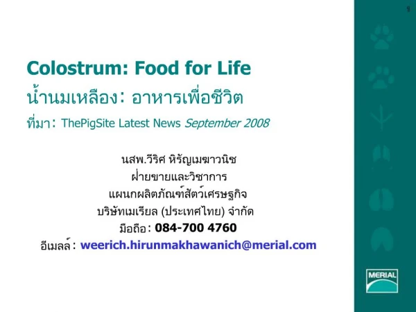 Colostrum: Food for Life : : ThePigSite Latest News September 2008