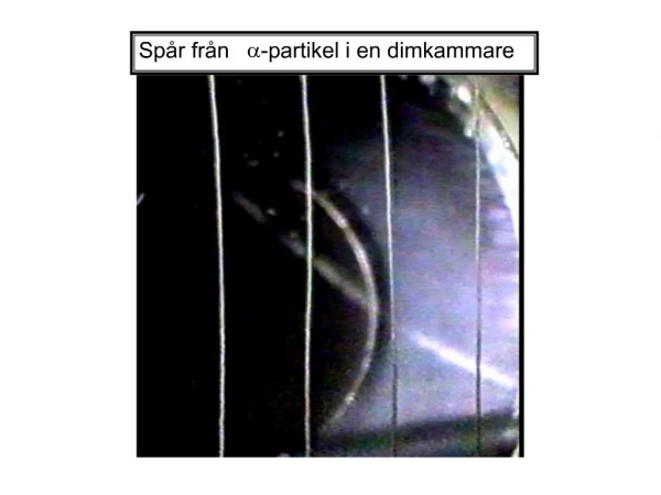 Sp r fr n a-partikel i en dimkammare