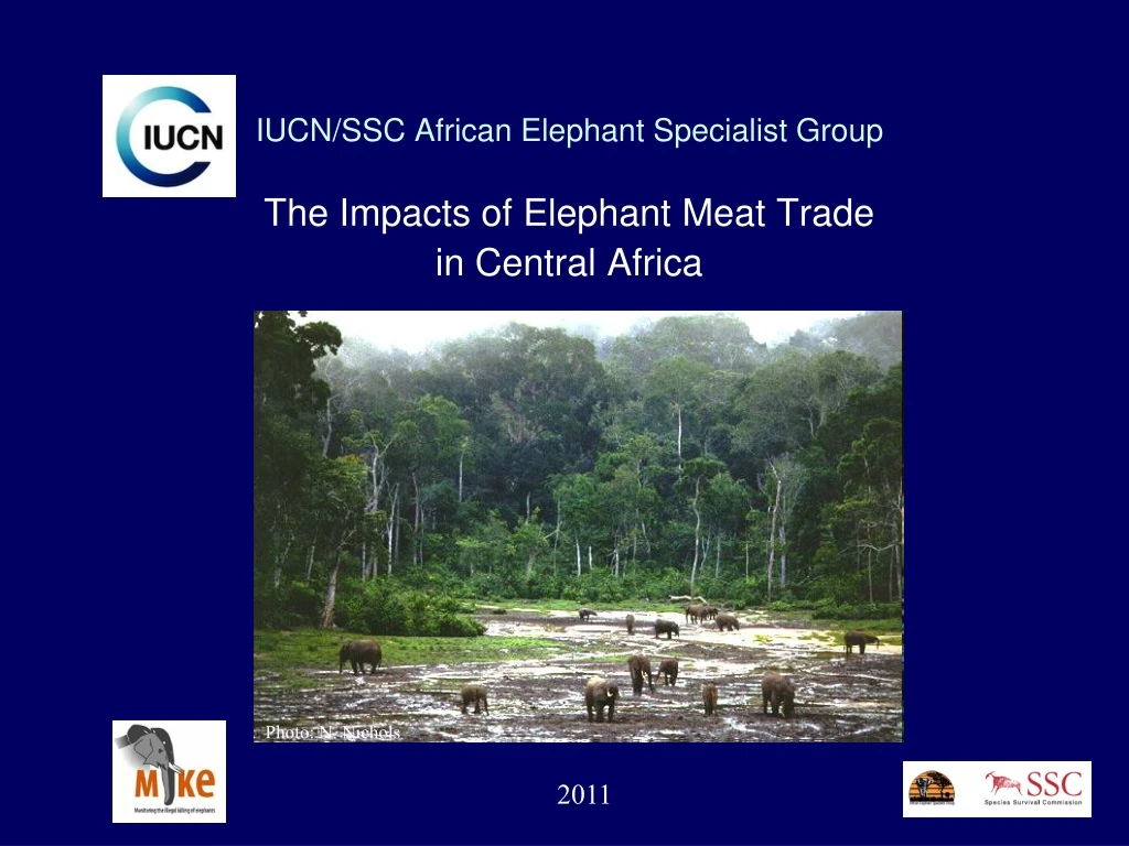 iucn ssc african elephant specialist group