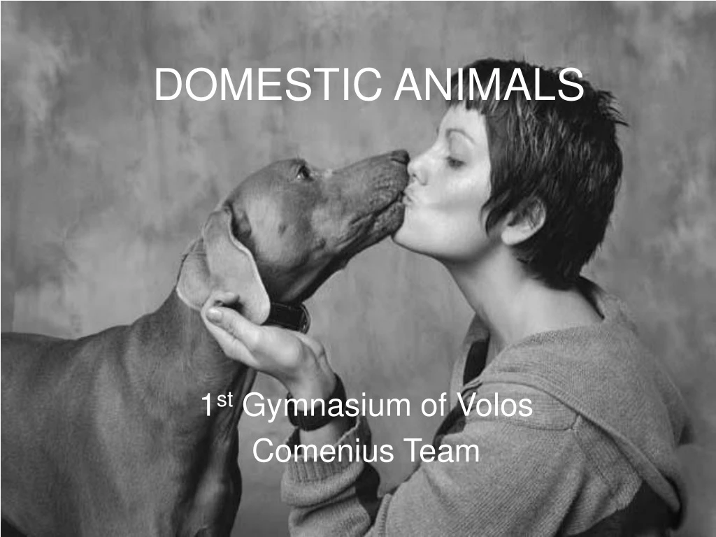 domestic animals