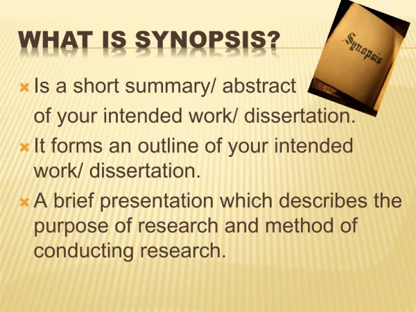 WHAT IS SYNOPSIS?