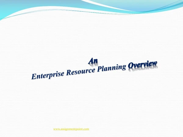 An Enterprise Resource Planning Overview