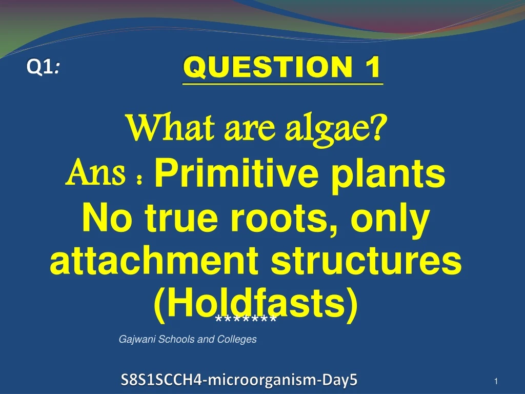 s8s1scch4 microorganism day5