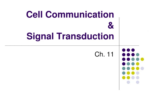 Cell Communication &amp; Signal Transduction
