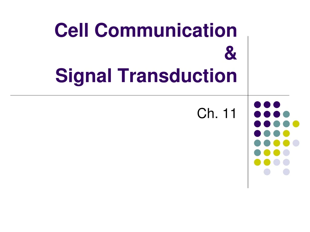 cell communication signal transduction