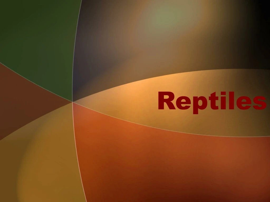 reptiles