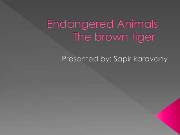 Endangered Animals The brown tiger