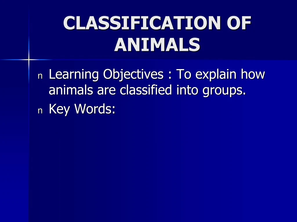 classification of animals