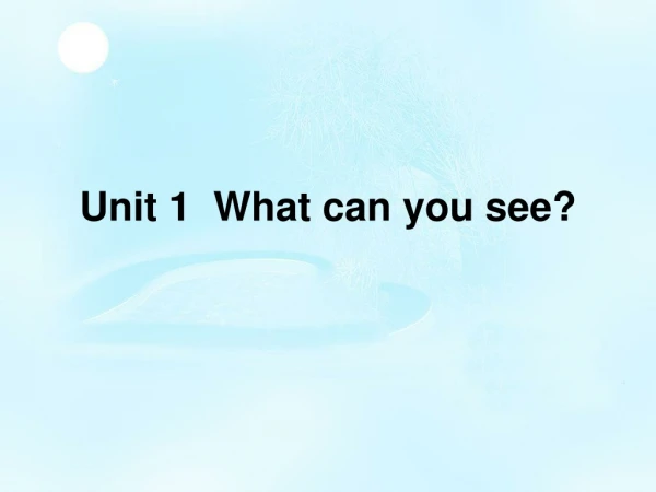 Unit 1 What can you see?