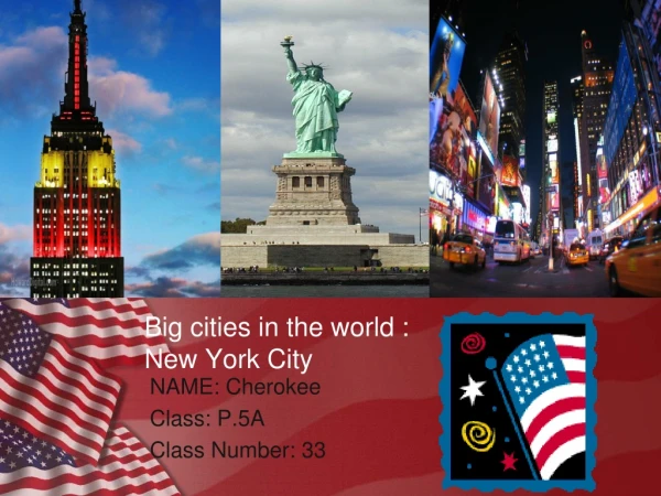 Big cities in the world : New York City