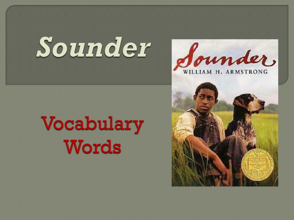 sounder vocabulary words