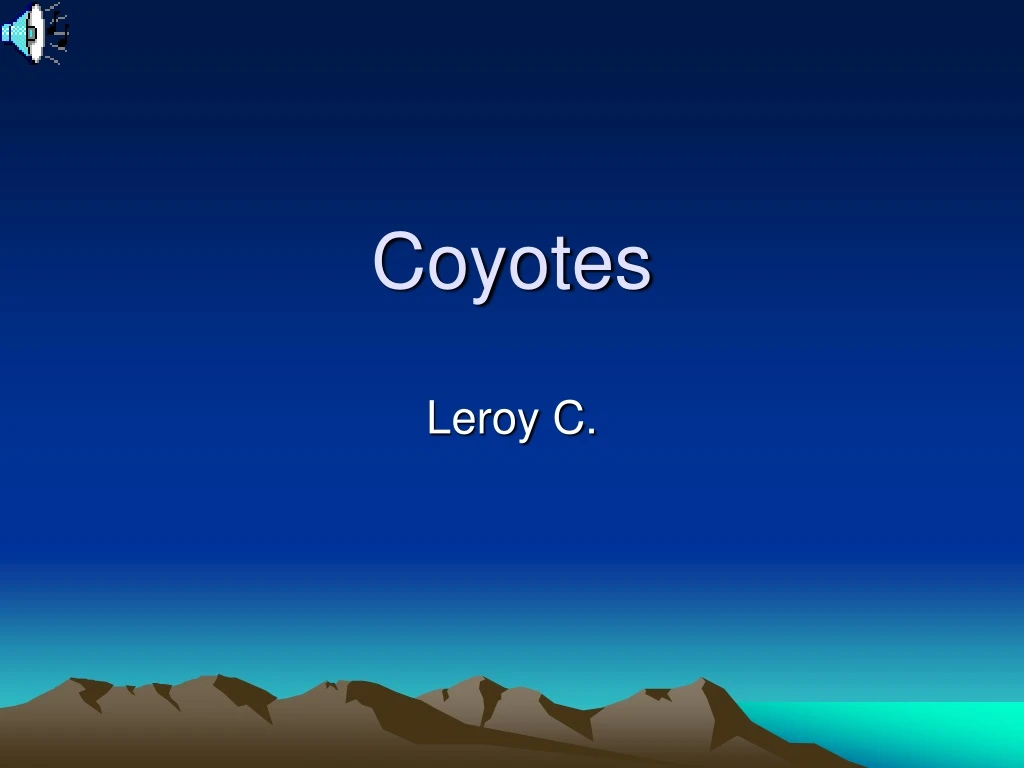 coyotes