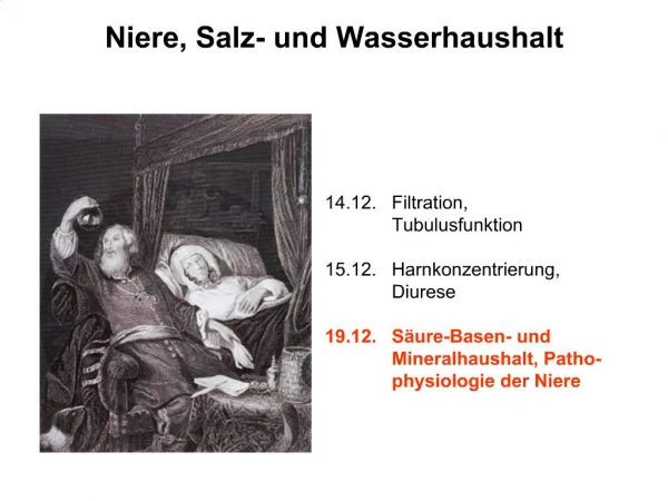 Niere, Salz- und Wasserhaushalt