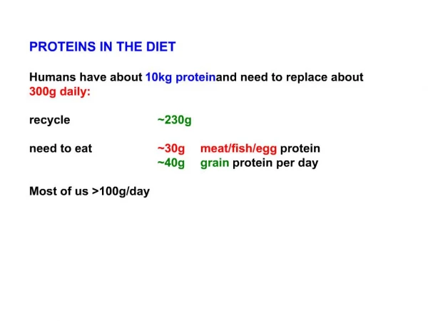 PROTEINS IN THE DIET Humans have about 10kg protein and need to replace about 300g daily: recycle 230g need to eat