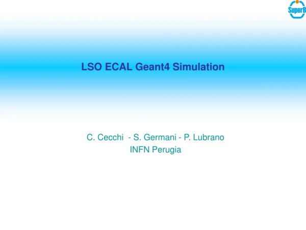 LSO ECAL Geant4 Simulation