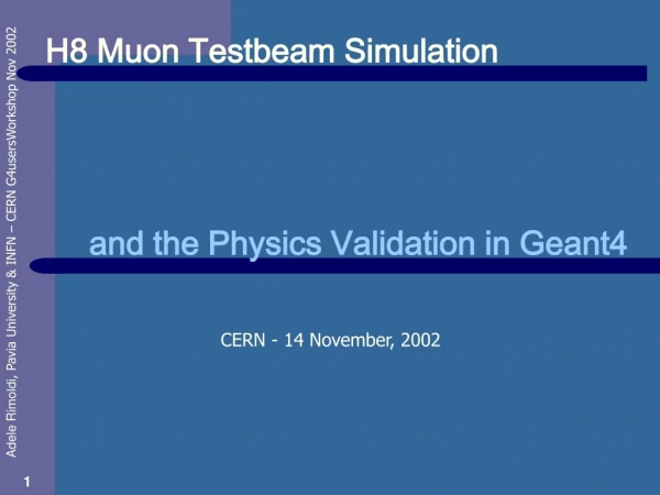 H8 Muon Testbeam Simulation