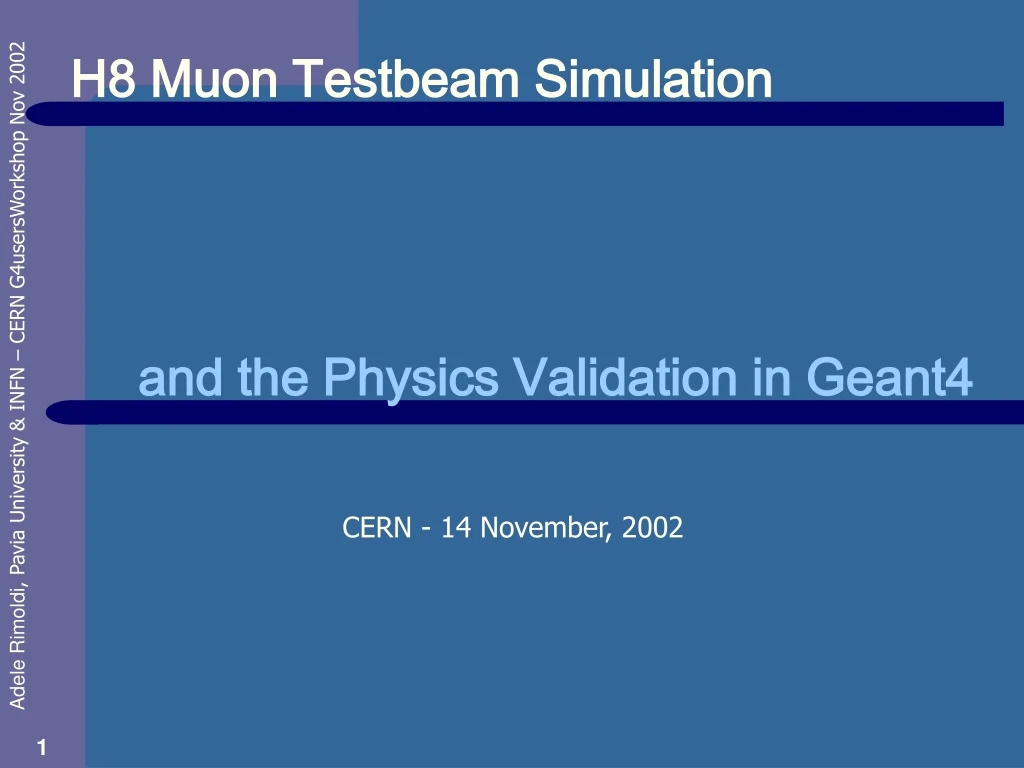 h8 muon testbeam simulation
