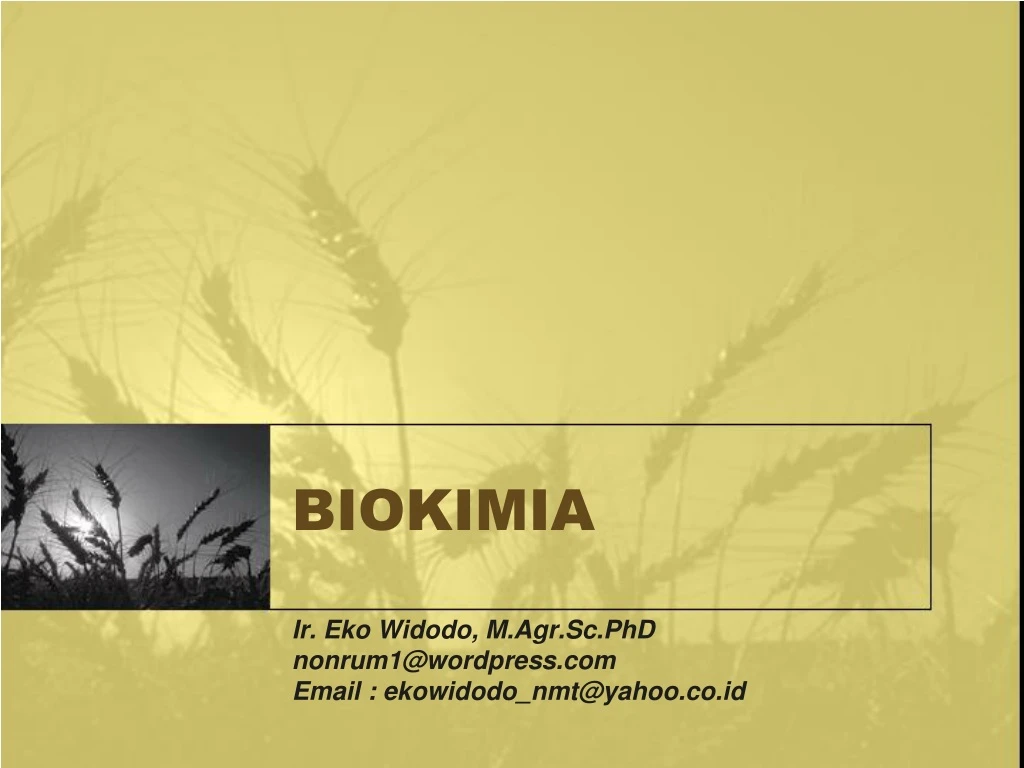 biokimia