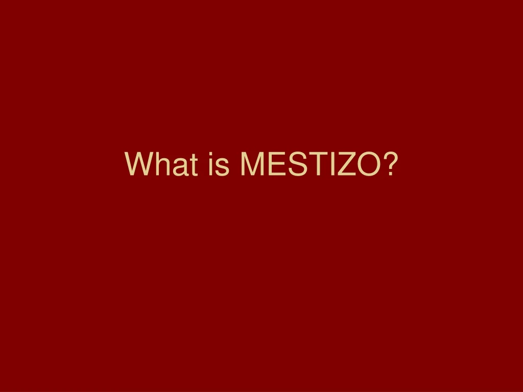 what is mestizo