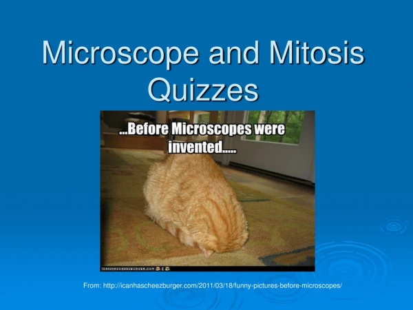 Microscope and Mitosis Quizzes