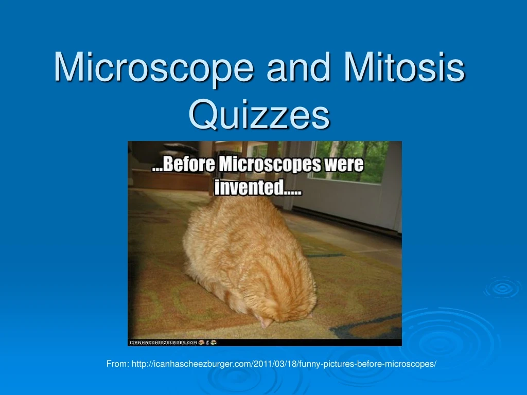 microscope and mitosis quizzes