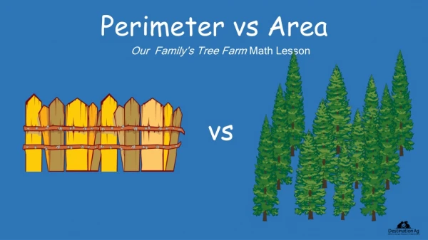 Perimeter vs Area