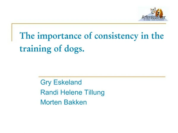 The importance of consistency in the training of dogs.