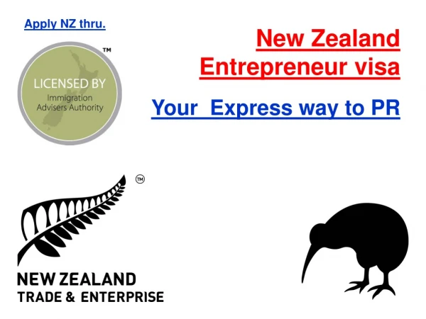 New Zealand Entrepreneur visa Your Express way to PR